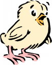 Chicken Clipart