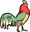 Chicken Clipart