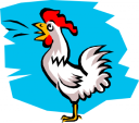 Chicken Clipart