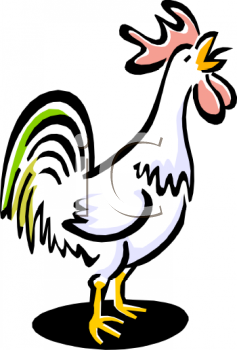 Chicken Clipart