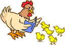 Chicken Clipart