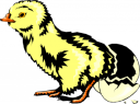 Chicken Clipart