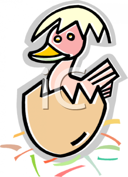 Duck Clipart