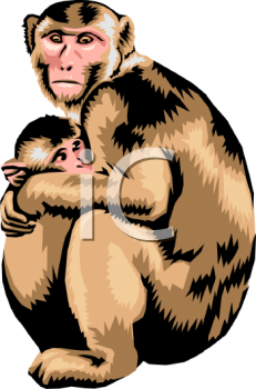 Chimpanzee Clipart