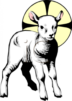 Sheep Clipart