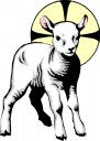 Sheep Clipart