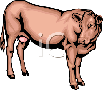 Cow Clipart