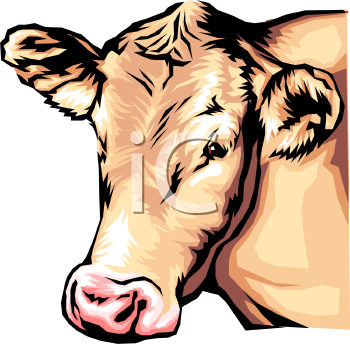 Cow Clipart