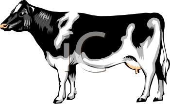 Cow Clipart