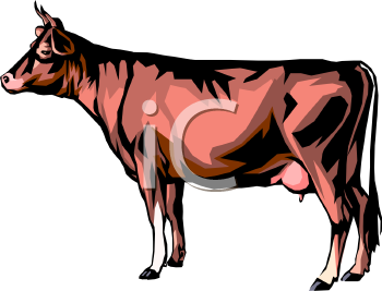 Cow Clipart