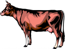 Cow Clipart