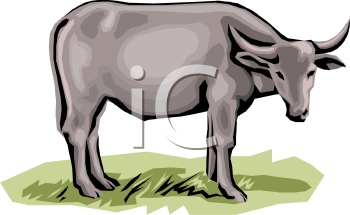 Cow Clipart