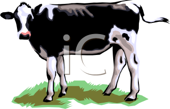 Cow Clipart