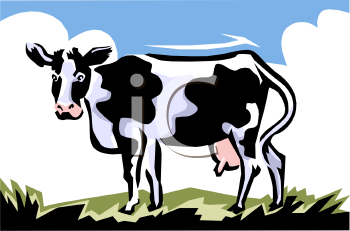 Cow Clipart