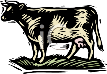 Cow Clipart