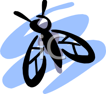 Bug Clipart