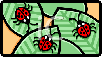 Bug Clipart