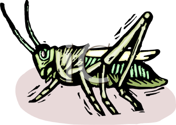 Bug Clipart