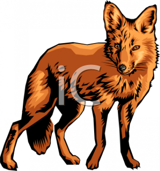 Fox Clipart