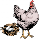 Chicken Clipart