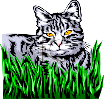 Cat Clipart