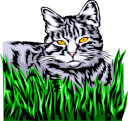 Cat Clipart