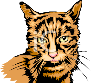 Cat Clipart