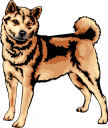 Dog Clipart