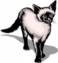 Cat Clipart