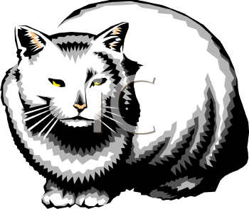 Cat Clipart