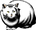 Cat Clipart