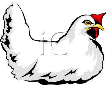 Chicken Clipart