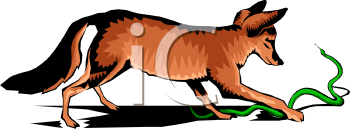 Fox Clipart