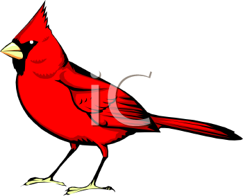 Cardinals Clipart