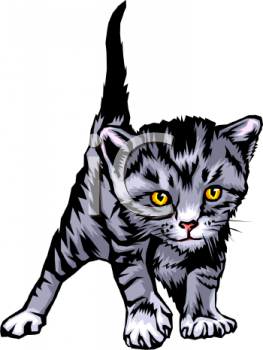 Cat Clipart