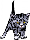 Cat Clipart