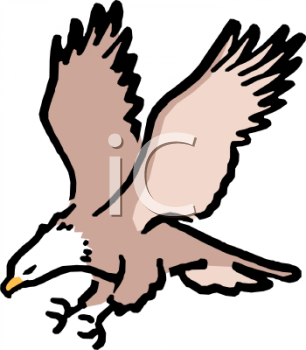 Eagle Clipart