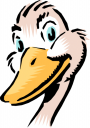 Duck Clipart