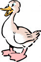 Duck Clipart