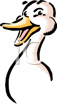 Duck Clipart