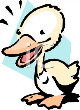 Duck Clipart