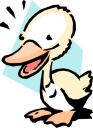 Duck Clipart