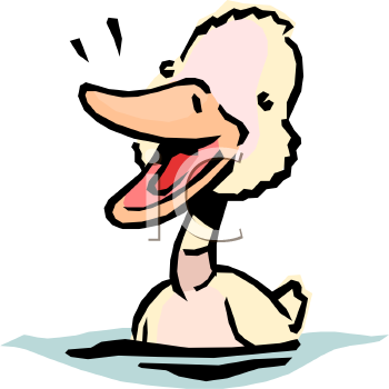 Duck Clipart