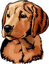 Dog Clipart