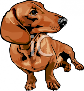 Dog Clipart