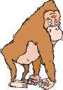 Cartoon Clipart