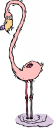 Flamingo Clipart