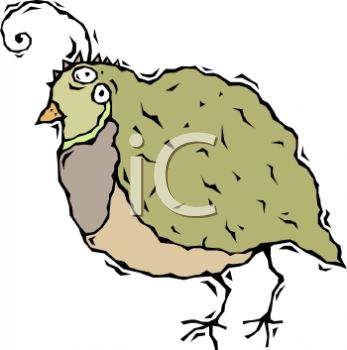 Cartoon Clipart