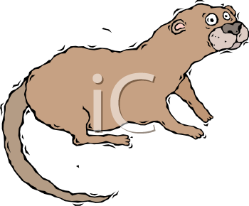 Cartoon Clipart