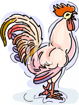 Chicken Clipart